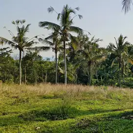 tanah kebun view pantai murah di tabanan bali