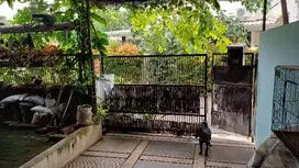 Jual rumah di Kencana loka pinehill, sektor 12.5 BSD
