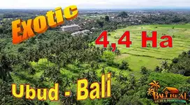 Exceptional Jungle and River view 44,000 m2 Land sale in Lodtunduh