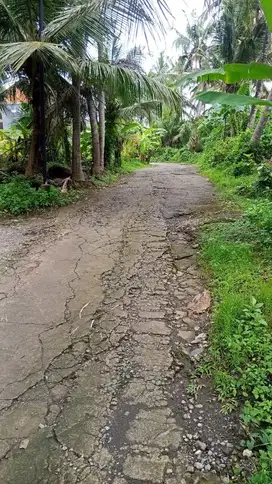 Tanah Murah Pantai Saba Gianyar