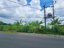 Tanah Tepi Jalan Utama Sambiroto Purwomartani – Cocok untuk Usaha!