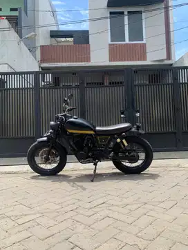 CUSTOM JAPSTYLE TIGER2000