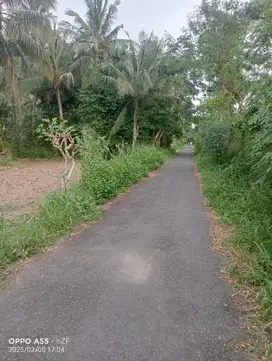 Tanah Pekarangan 1,3 Hektar Dkt Bandara Tempn  Kulon Progo