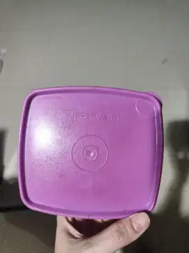 Tempat makan tepak makan tupperware original murah bonus botol minum