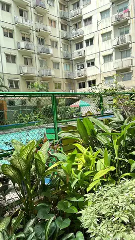 Apartemen Gading Icon dengan harga termurah (negotiable)