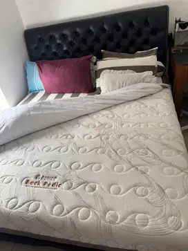 Kasur Guhdo Back Pedic 180 x 200