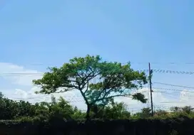 Dijual cepat lahan nol jalan