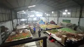 Take Over Pabrik Makanan Di Semarang (Izin Lengkap)