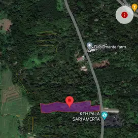 Tanah ekowisata dan perternakan penebel tabanan
