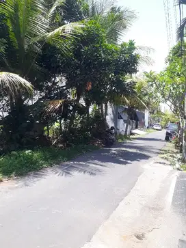 dikontrakkan tanah kosong itr kuning di darmagiri gianyar
