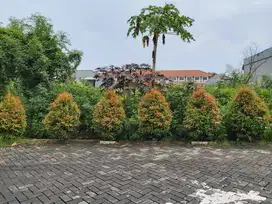 Jual Tanah Semarang Timur Anti Banjir Sudah Pondasi