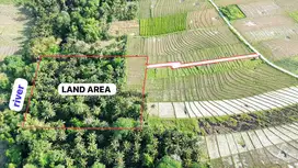 Tanah di Jual dekat Pantai Beraban