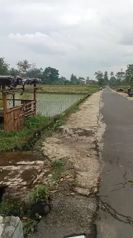 Pekarangan di jual di Utara kampus uii