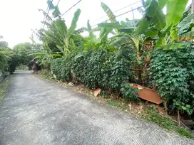 Dijual Tanah Area Beji Depok Hanya 10 Menit Ke Pintu Tol Margonda