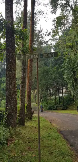 kavling di mega mendung bogor luas tanah 1980 meter