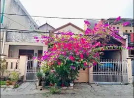 rumah satu setengah lantai aster karawaci
