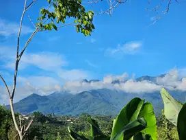 tanah murah view cantik di dau dekat batu dan kampus jalan lebar