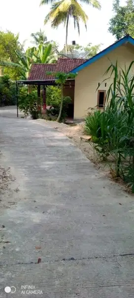 Super Murah Tanah di Sidomulyo pengasih