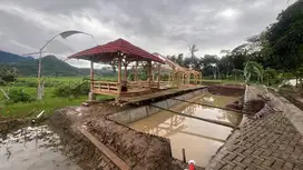 JUAL KAVLING TANAH SAWAH 529 RIBU PER METER SHM