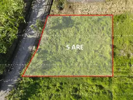 COMMERCIAL LAND OPPORTUNITY IN KEDUNGU, TABANAN
