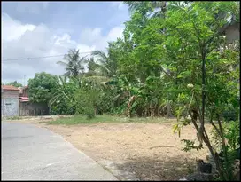 2 Menit Pasar Jombokan Tanah Murah Tawangsari