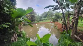 Di Jual Tanah Luas 800 Meter Ciseeng Bogor