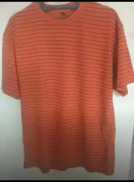 KAOS PRIA MERK CINZA MOTIF LANGKA.
