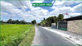 Sawah Zona Hijau di Jakal Km 10 Sleman