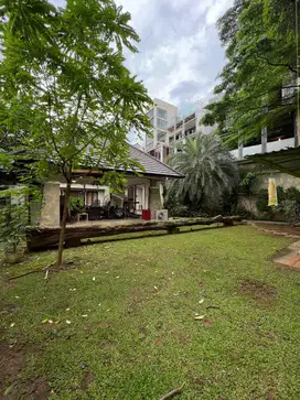 Rumah Konsep Tropical Modern  Halaman Sangat Luas dan Asri