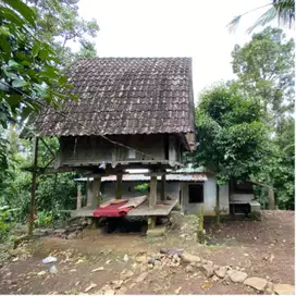 DI JUAL KEBUN MANGGIS DAN DURIAN SIAP PANEN DI TABANAN