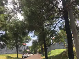 Kavling Siap Bangun di Setiabudi Atas Cipaku Bandung Utara