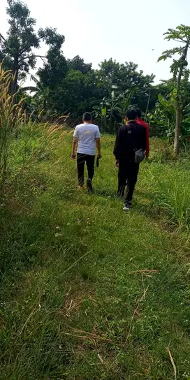 dijual tanah ditangsel