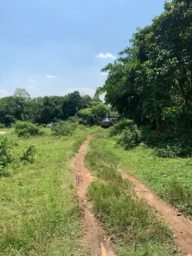 Jual Cepat & Murah Tanah Luas Full Tembok di Cikeusal Serang Banten