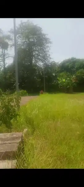 disewakan tanah di tangerang selatan