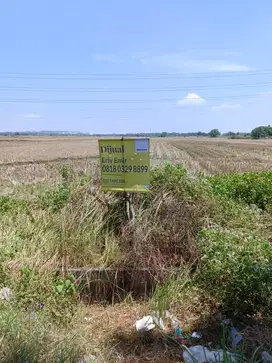 Jual Cepat Tanah Strategis nol jalan raya Suramadu - Bangkalan