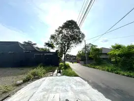 Tanah Murah Jogja Cocok untuk Usaha,Tepi Jalan Aspal