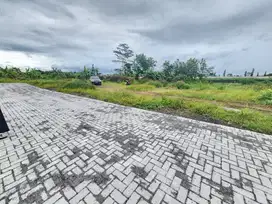 Tanah Sleman Dijual Murah Dekat Jalan Kabupaten