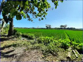 DIjual Tanah Murah Kulon Progo Dekat Bandara