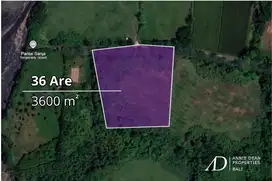 FREEHOLD LAND 60 M FROM THE BEACH IN NYANYI (3600 m2)