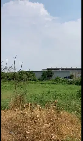 Dijual Tanah Luas Strategis Cocok Untuk Usaha Area Tangerang