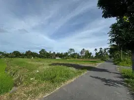 Tanah Jogja Utara, Harga Murah View Sawah