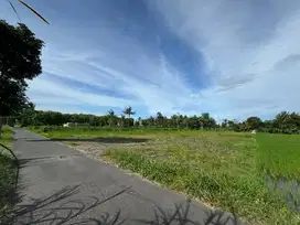Tanah Murah Belakang Kampus UII Jogja, SHM P