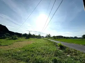 Tanah Dalam Ringroad Jogja, 10 Menit Kampus UGM