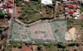 Jual Tanah Luas 6.015m² Lokasi Ungasan dekat Karma Kandara area Invest