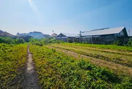 Tanah Gunung Salak Kerobokan Badung