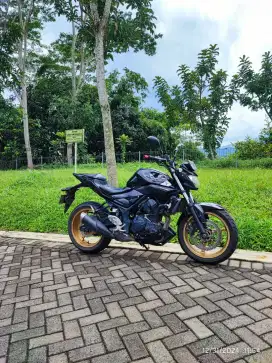 Yamaha MT-25 MT25 MT 25 2016 BLACK