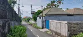 310m2 SHM goa gong ungasan Bali