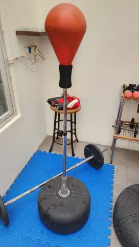 Speedbag / soft bag / boxing / double end bag