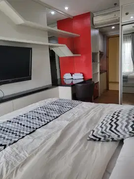 Apartemen Full Furnished di Signature Park Tebet