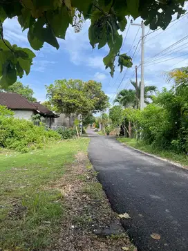 Dijual Tanah di Daerah Goa Gong Kutuh